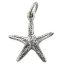 Picture of Sterling Silver Starfish Charm