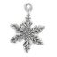 Picture of Sterling Silver Snowflake 6 Point Charm 19x13mm