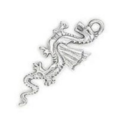 Picture of Sterling Silver Dragon Charm 25mm