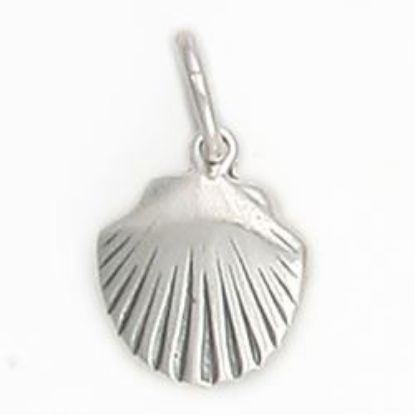 Picture of Sterling Silver Clam Shell Charm with Jumpring, 11x14mm