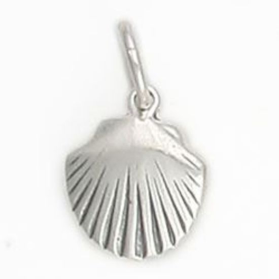 Picture of Sterling Silver Clam Shell Charm with Jumpring, 11x14mm