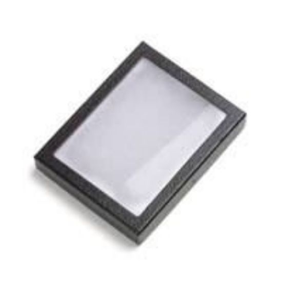 Picture of Riker Case with 2 Clips, 4" x 5"