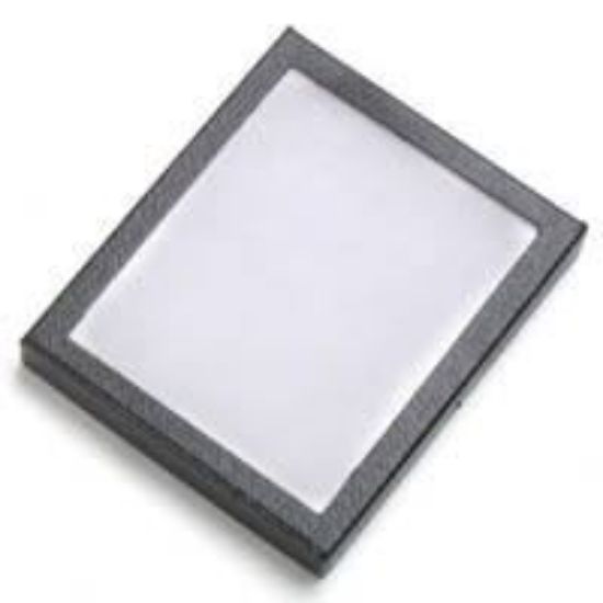 Picture of Riker Case With 2 Clips 5 x 6 Inch