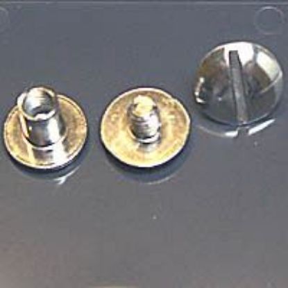Picture of White Chicago Screws 1/4", 10 Screws