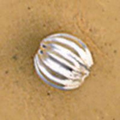 Picture of Silver Plated Corrugated Beads 4mm 0.06"<br />50 Beads