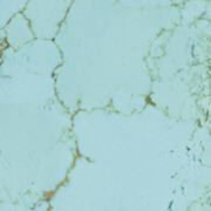 Picture of Turquoise Kingman BLOCK