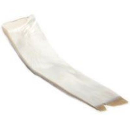 Picture of Rough Mother of Pearl Goldlip Shell Slices