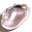 Picture of Shell Mussel Pink Rough AA