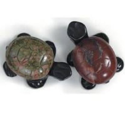 Picture of Fetish 2 Tone Gemstone, Assorted  Drilled Turtle, 18x30mm