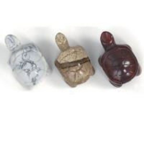 Picture of Fetish Gemstone, Assorted Drilled Turtle, 14x22mm