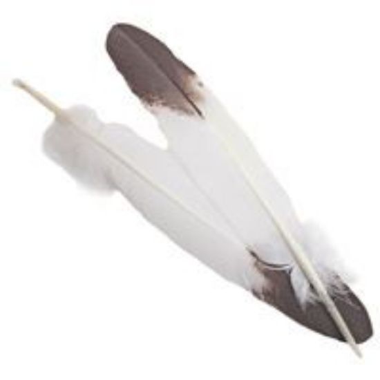 Picture of Imitation Golden Eagle Match Pair Feathers