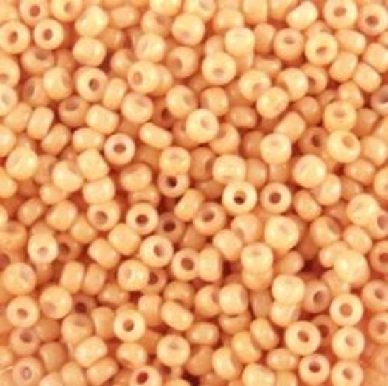 Picture of Opaque Salmon Seed Bead #403B / Size #11<br />Approximately 25 Grams