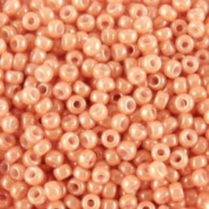 Picture of Opaque Lustre Dark Peach Seed Bead #445 / Size 11<br />Approximately 25 Grams