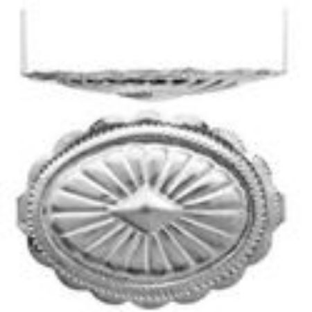 Picture for category Conchos