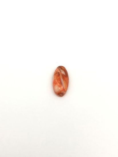 Picture of Orange Spiny Oyster Cabachon 6x12mm Long Oval, No Back