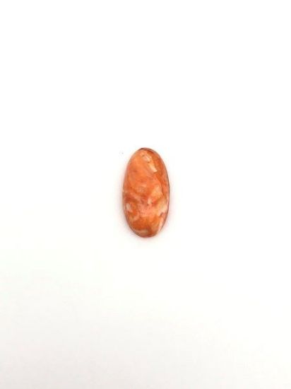 Picture of Orange Spiny Oyster Cabachon 7x14mm Long Oval, No Back