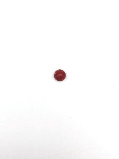 Picture of Red Stabilized Compressed Spiny Oyster Cabachon 4mm Round, No Back