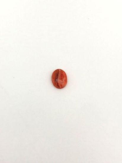 Picture of Orange Spiny Oyster Compressed Oval Cabachon, No Back 6x8mm