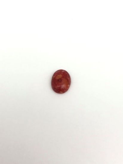 Picture of Red Stabilized Compressed Spiny Oyster Cabachon 6X8mm Oval, No Back