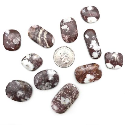Picture of Wild Horse Freeform Cabochons