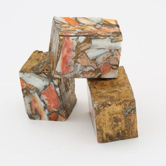 Picture of Rough Compressed Spiny Oyster Bronze