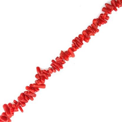 Picture of Cupolini Red Coral