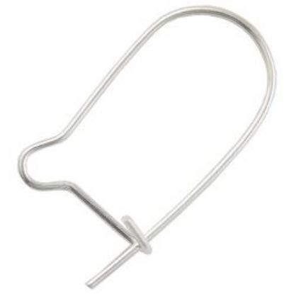 Picture of Kidney Wire Silver Plated