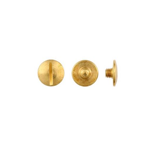 Picture of Brass Chicago Screw Only, 1/8"