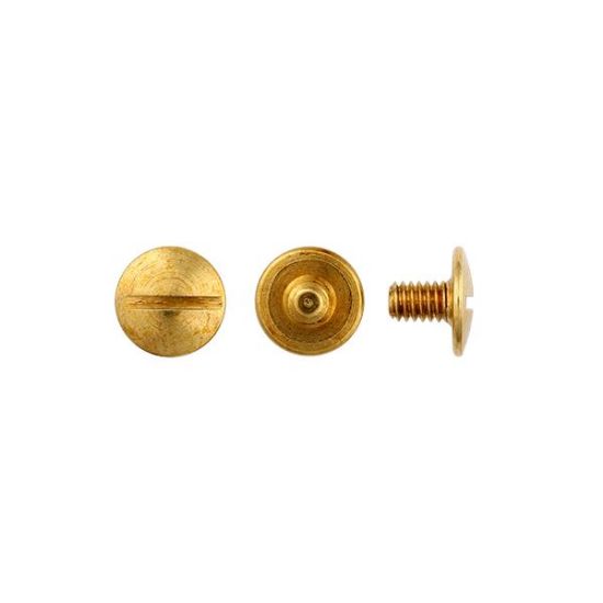 Picture of Brass Chicago Screw Only, 1/4"
