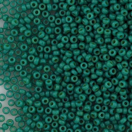 Picture of Opaque Sear Green Seed Bead #411C / Size 11<br />Approximately 25 Grams