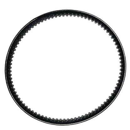 Picture of Lortone Arbor Replacement Drive Belt, Approximately 12" Dia.