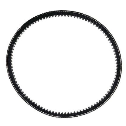 Picture of Lortone Arbor Replacement Drive Belt, Approximately 13" Dia.