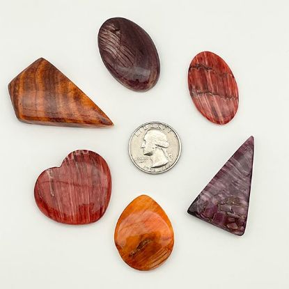 Picture of Assorted Red, Orange, and Purple Spiny Oyster Cabochons, No Back