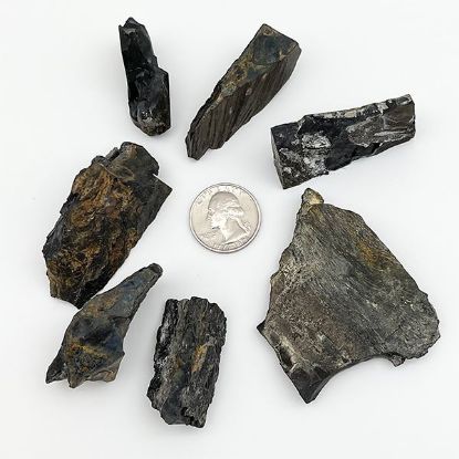 Picture of Rough Acoma Jet