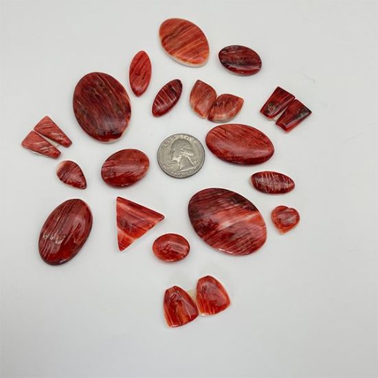 Picture of Assorted Red Spiny Oyster Cabochons
