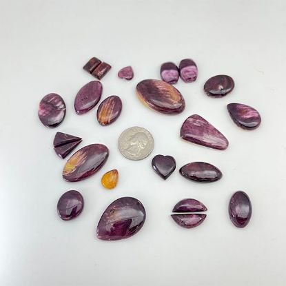 Picture of Assorted Purple Spiny Oyster Cabochons