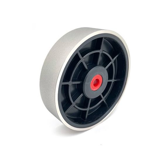 Picture of Nickel Plated Diamond 6" Wheel, 600 grit 