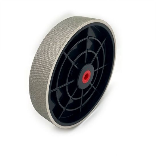 Picture of Nickel Plated Diamond 8" Wheel, 100 grit 