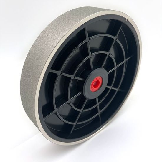 Picture of Nickel Plated Diamond 8" Wheel, 360 grit 