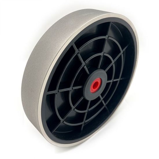 Picture of Nickel Plated Diamond 8" Wheel, 600 grit 