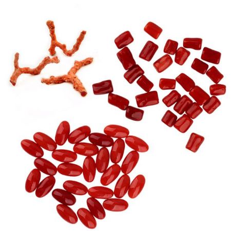 Picture for category Coral