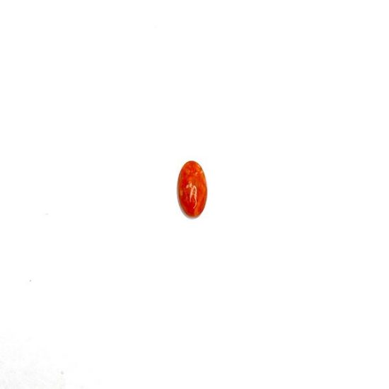 Picture of Orange Spiny Oyster Compressed Oval Cabachon, No Back 5x10mm