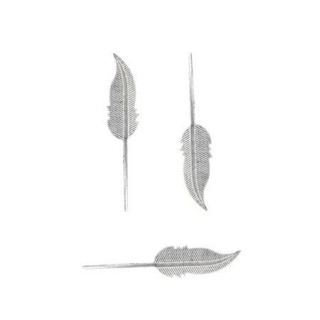 Picture for category Feathers and Such