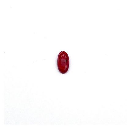 Picture of Red Spiny Oyster Cabachon 7x14mm Long Oval, No Back