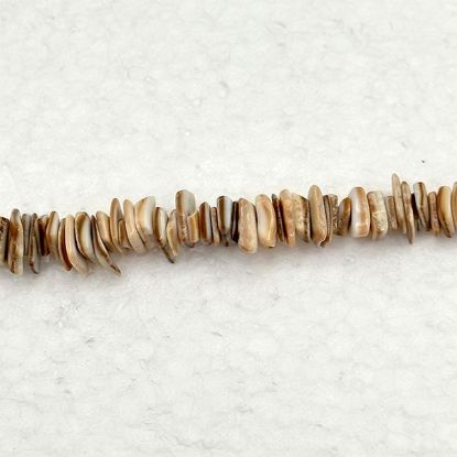 Picture of 4-8mm Small Voluta Chip Beads