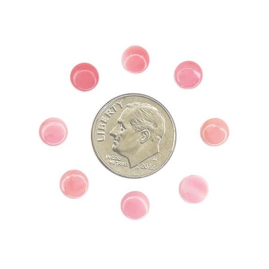 Picture of Round Conch Shell Cabochon 6mm