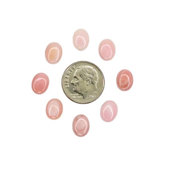 Picture of Oval Conch Shell Cabochon 7x9mm