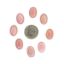 Picture of Oval Conch Shell Cabochon 10x14mm