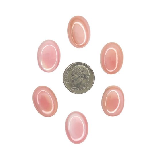 Picture of Oval Conch Shell Cabochon 13x18mm