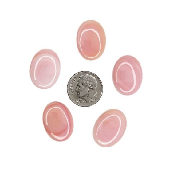 Picture of Oval Conch Shell Cabochon 15x20mm